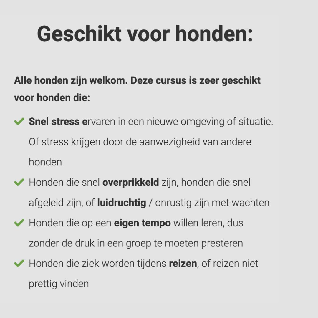 Online cursussen honden massage en vuurwerkangst verminderen (met korting!)