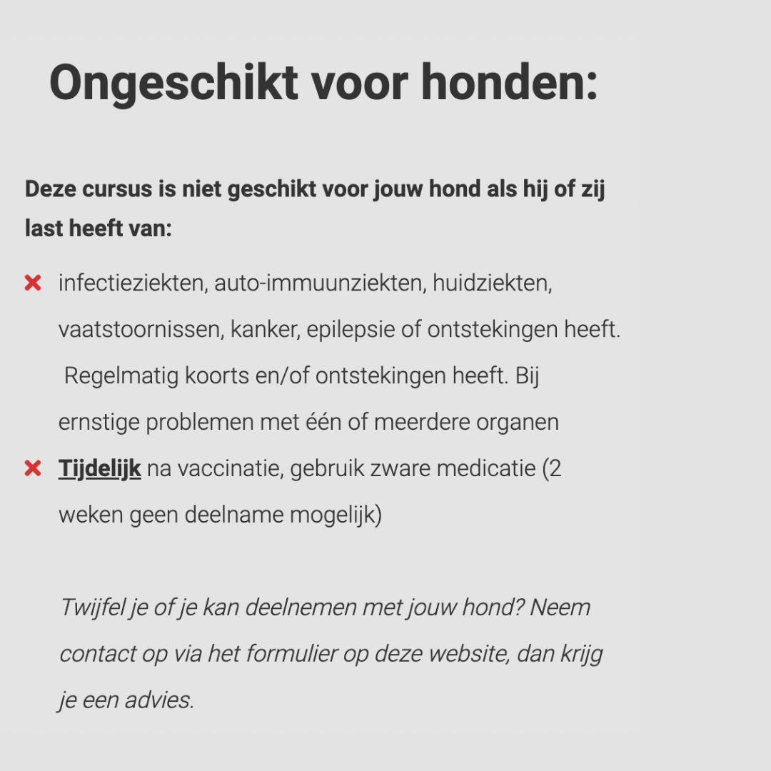 Online cursussen honden massage en vuurwerkangst verminderen (met korting!)