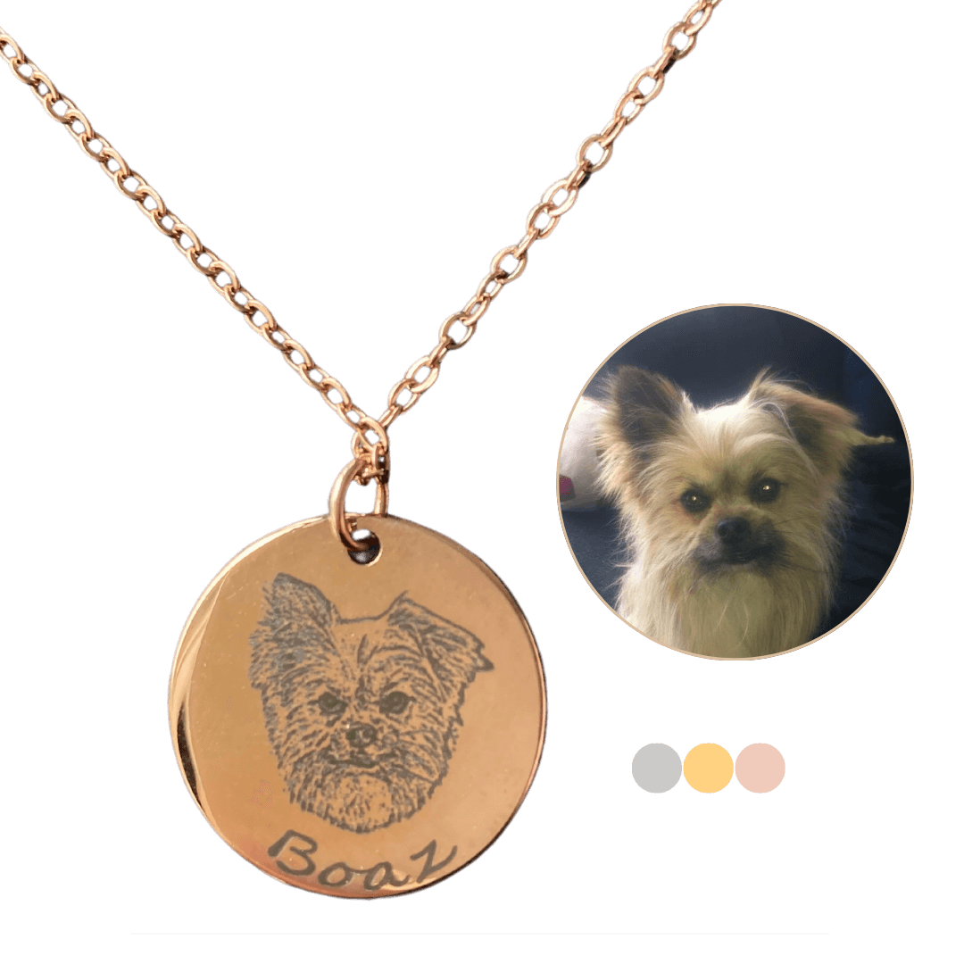 Ketting hond met foto van hond en naam gegraveerd (vanaf € 33,95)