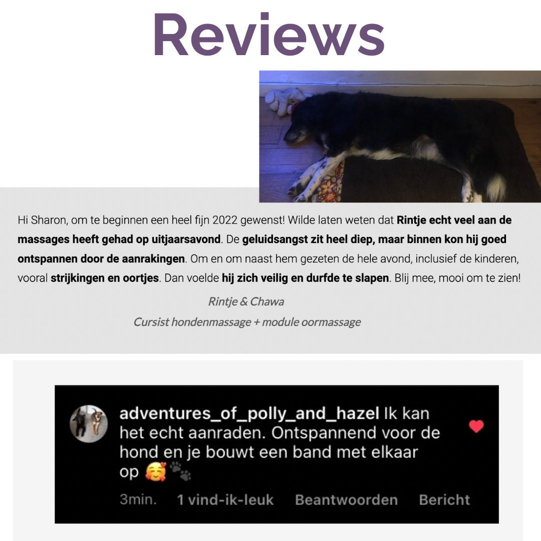 Online cursussen honden massage en vuurwerkangst verminderen (met korting!)