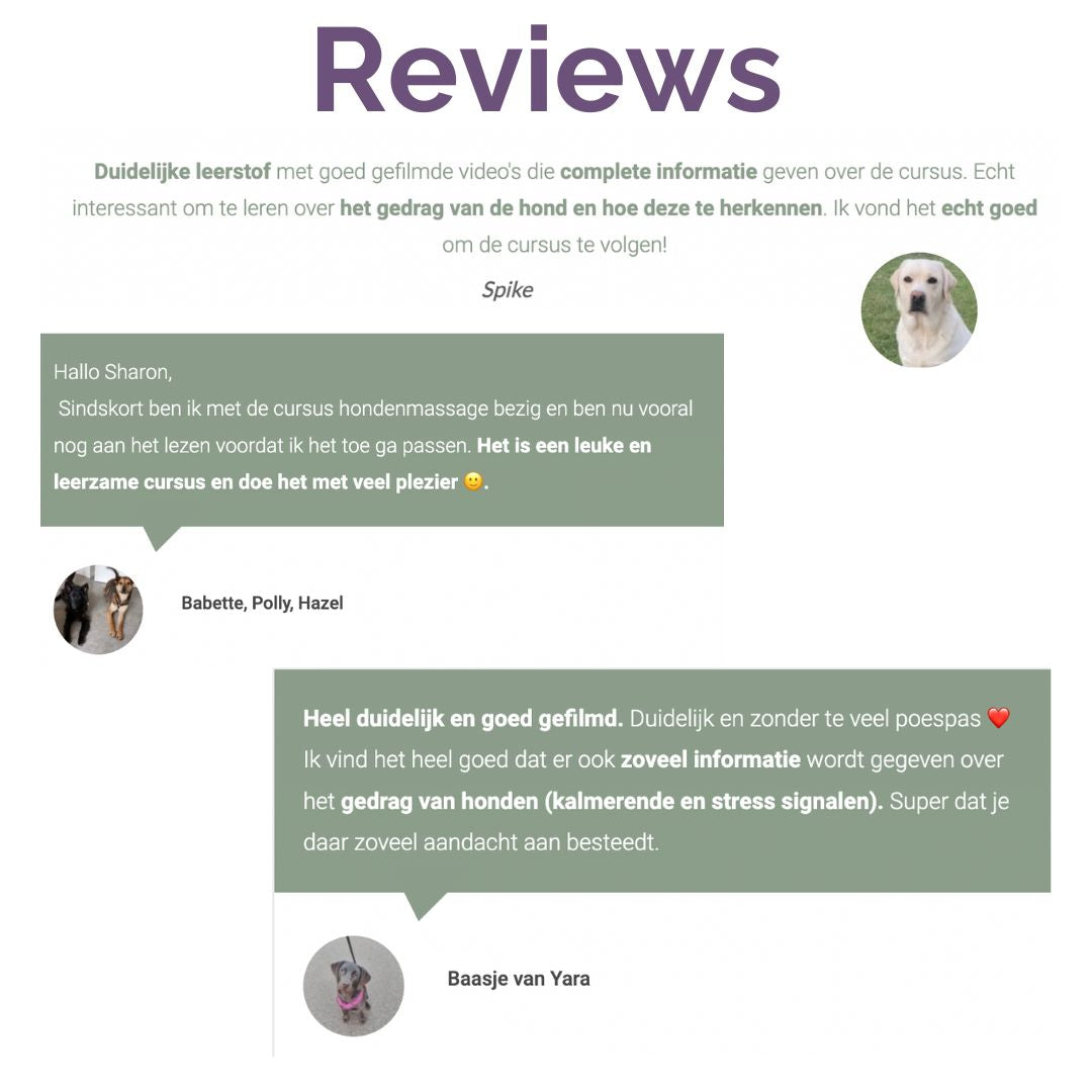 Online cursussen honden massage en vuurwerkangst verminderen (met korting!)