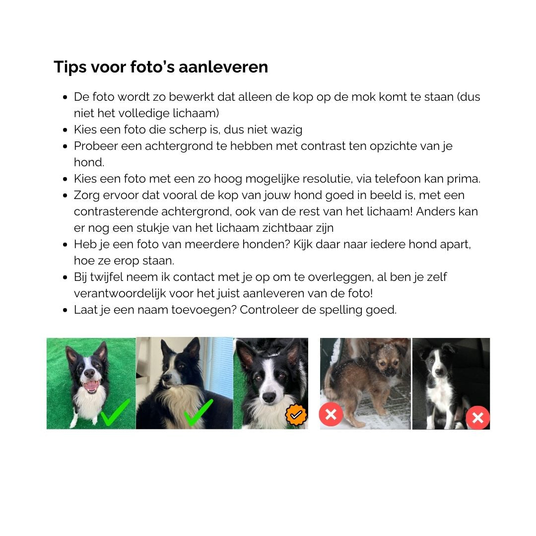 Mok met foto van hond en hondennaam regenboog dog mom