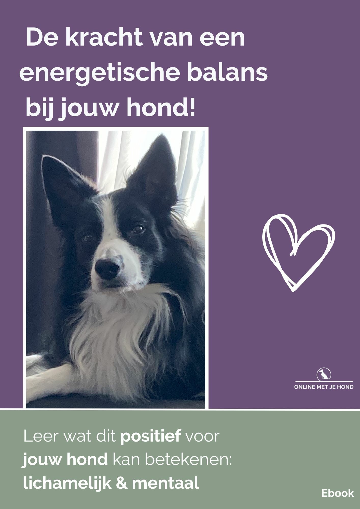 Gratis download Ebook Energetische disbalans bij honden