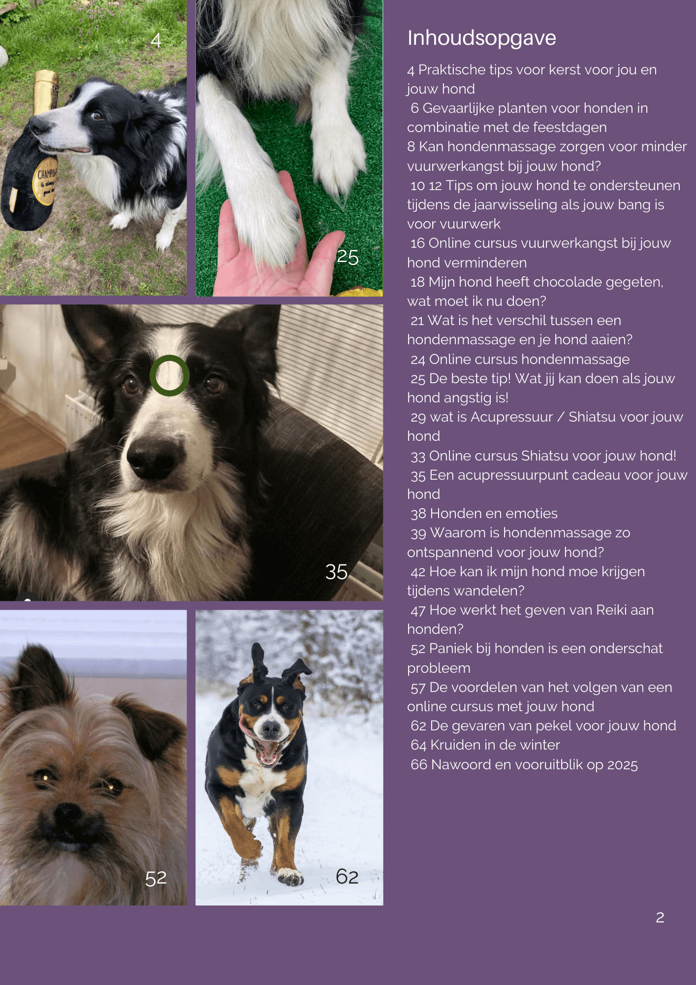 Gratis tijdschrift met tips voor honden