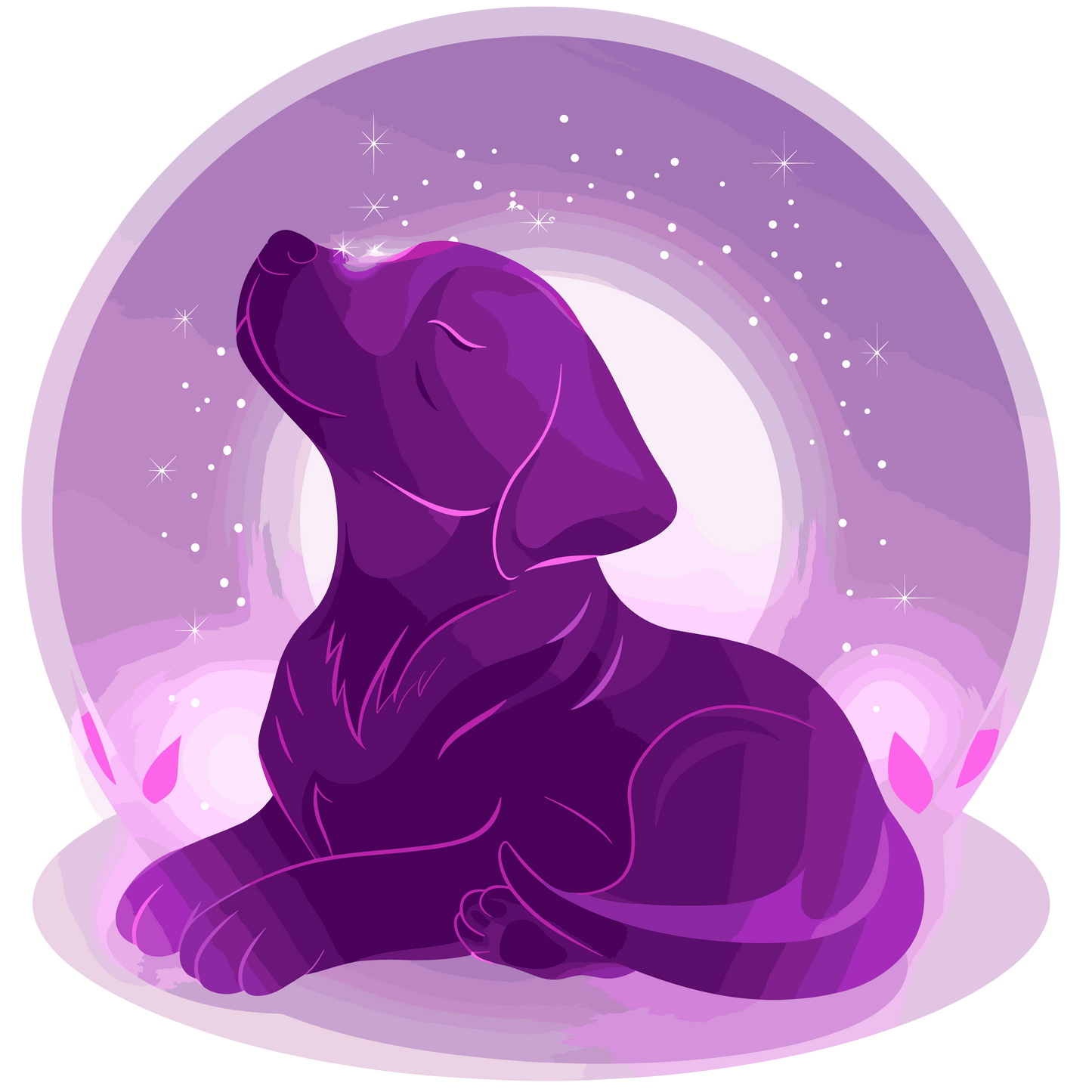 Reiki sessie voor jouw hond