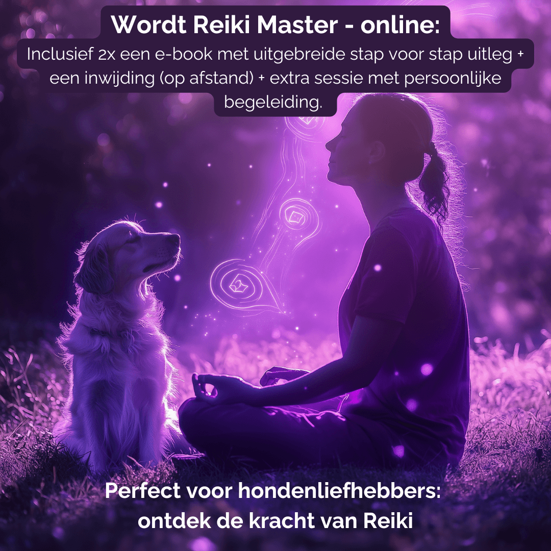 Reiki Master cursus