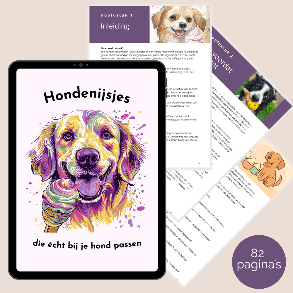 Natuurlijke hondensnack in de vorm van een zelfgemaakt ijsje