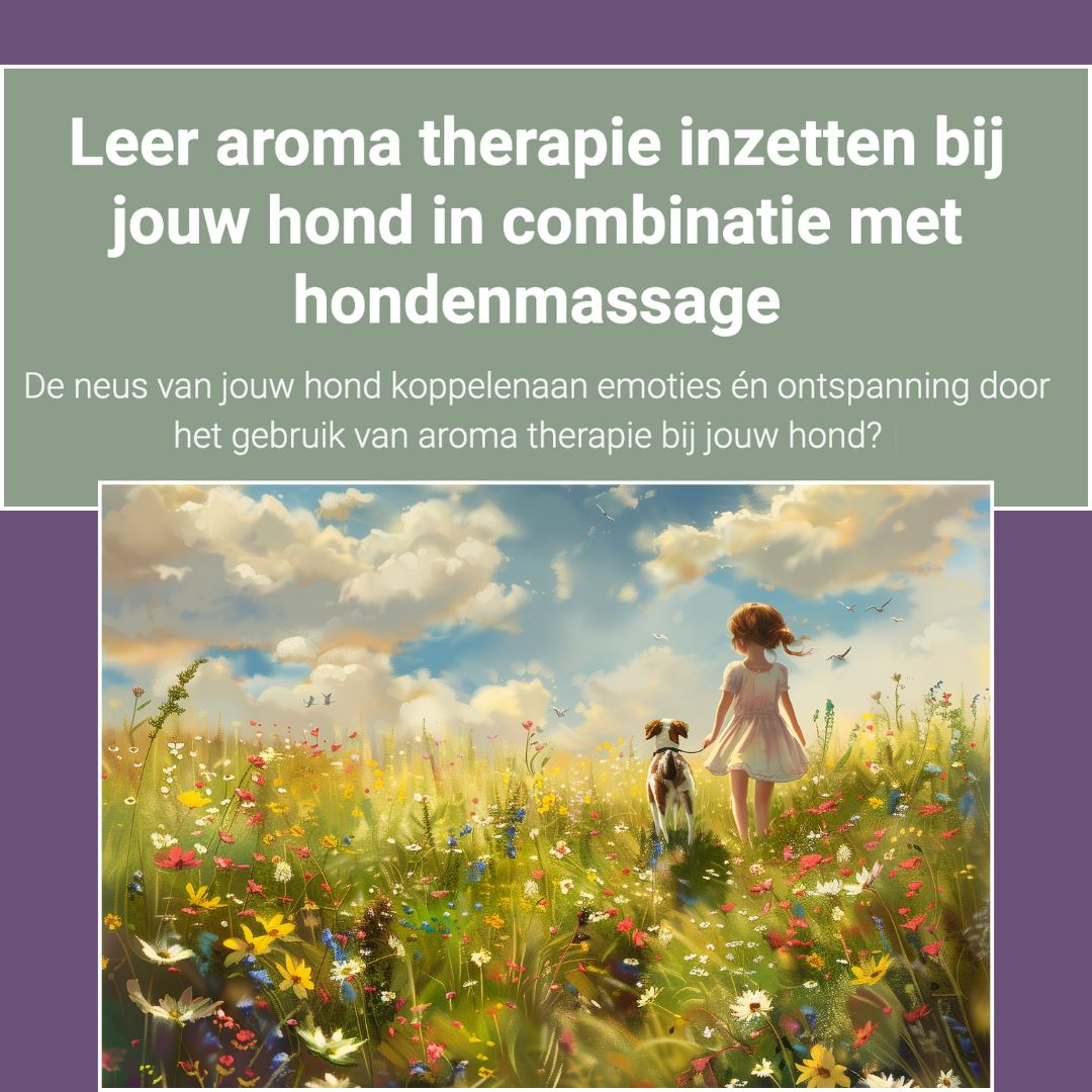 Aromatherapie hond: leer dit te gebruiken tijdens massage