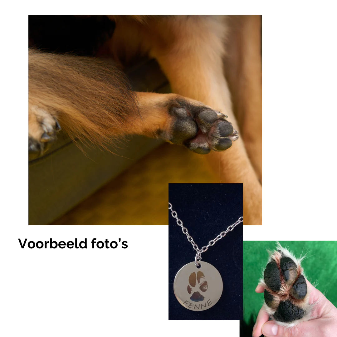 Armband met hondenpoot en naam van je hond gegraveerd