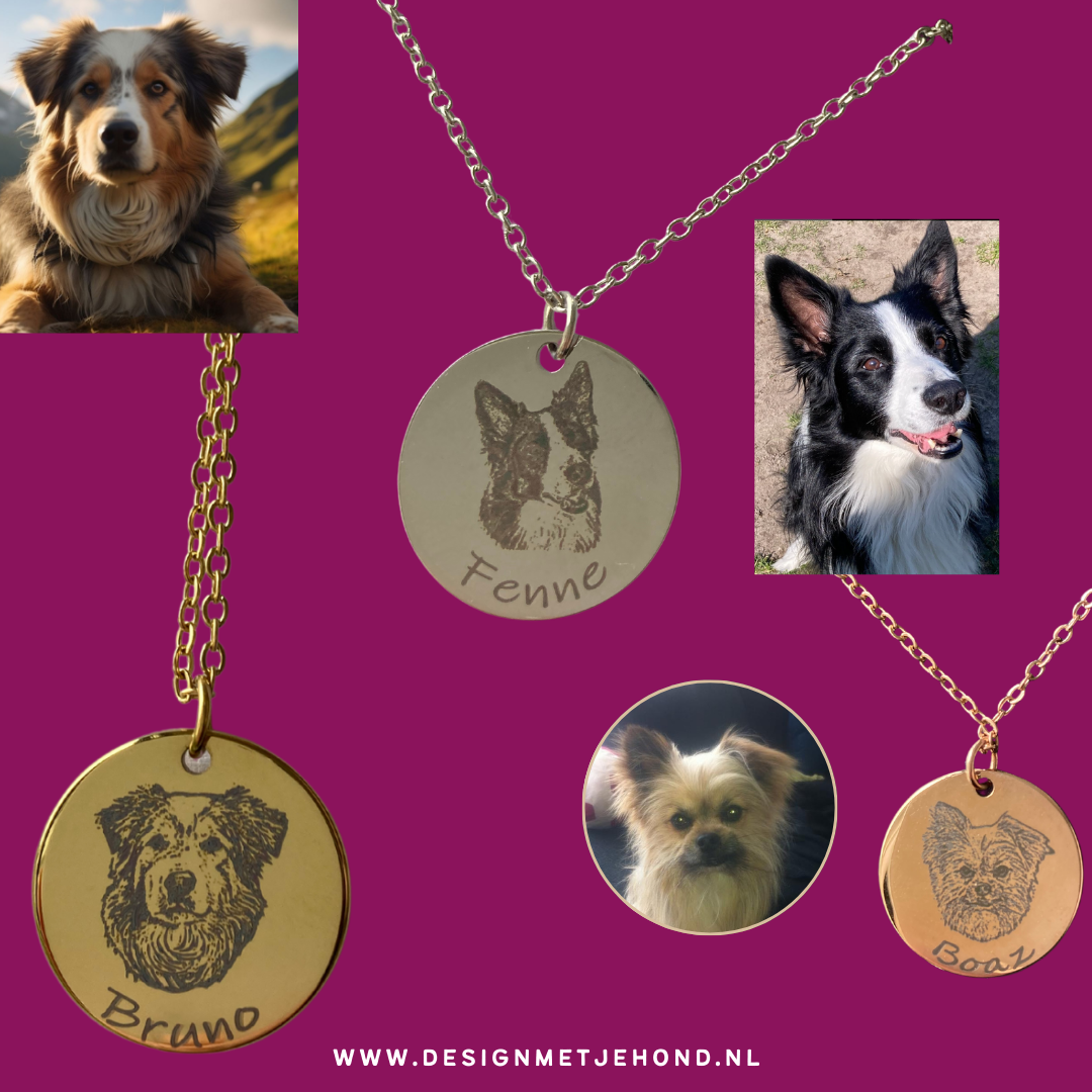 Ketting hond met foto van hond en naam gegraveerd