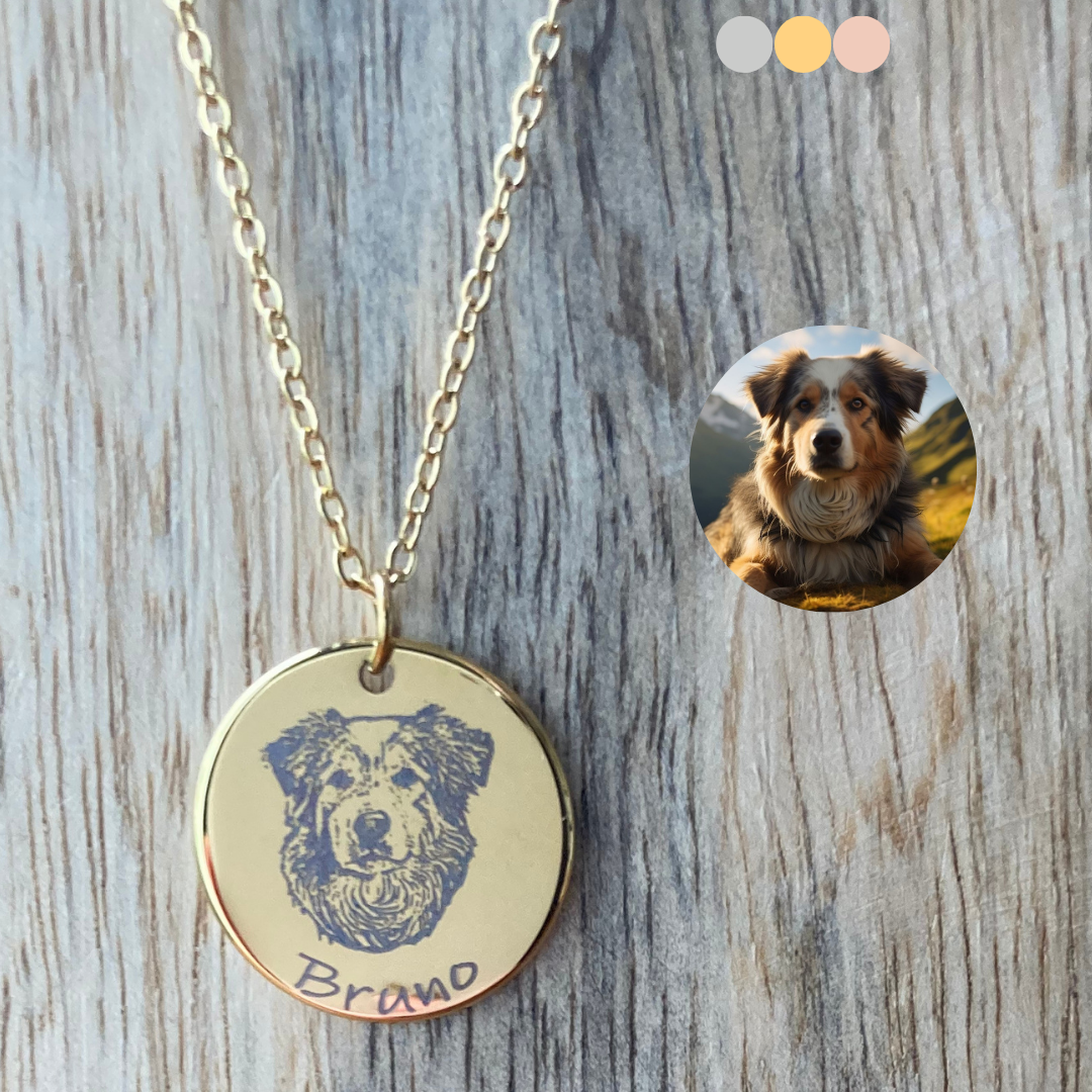 Ketting hond met foto van hond en naam gegraveerd