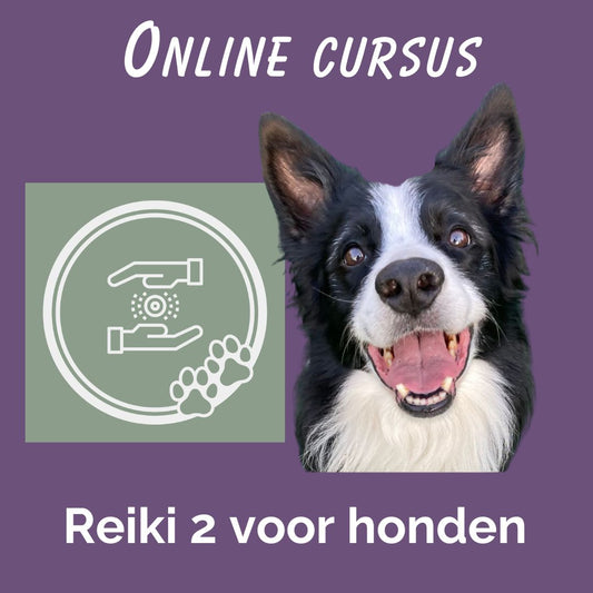 Cursus Reiki 2 voor jou en voor je hond