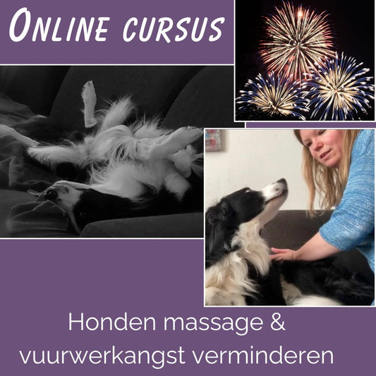 Online cursussen honden massage en vuurwerkangst verminderen (met korting!)