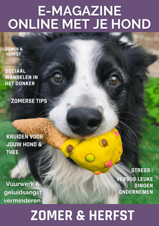 Gratis tijdschrift met tips voor honden