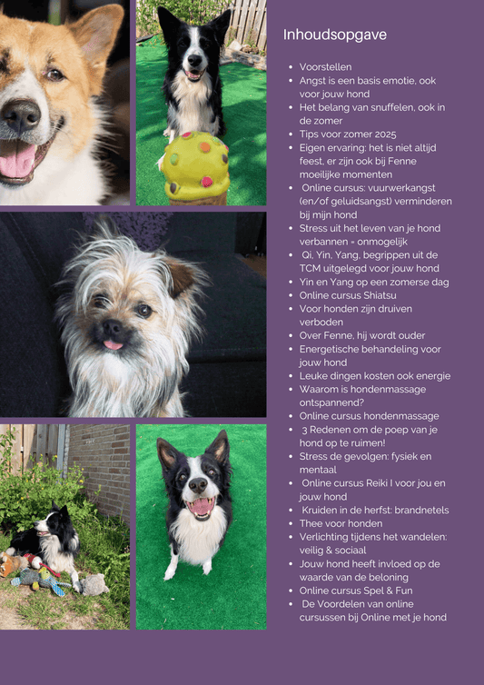 Gratis tijdschrift met tips voor honden