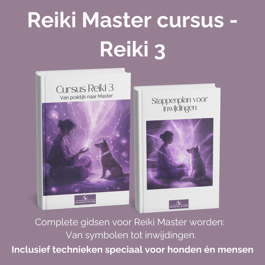 Reiki Master cursus