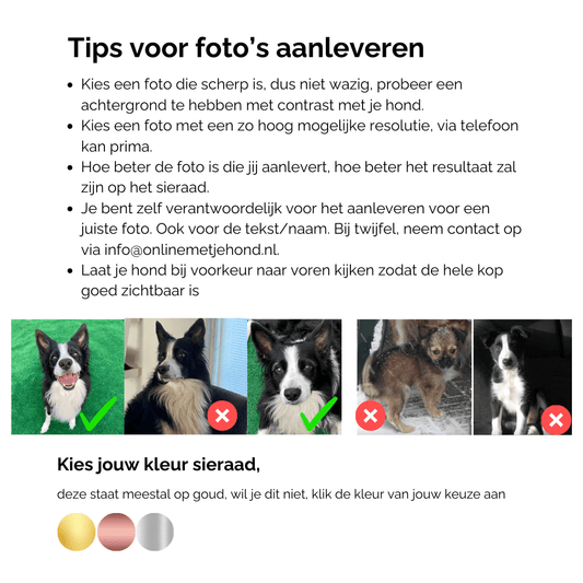 Tips voor het aanleveren van foto's voor jouw honden sieraad 😍