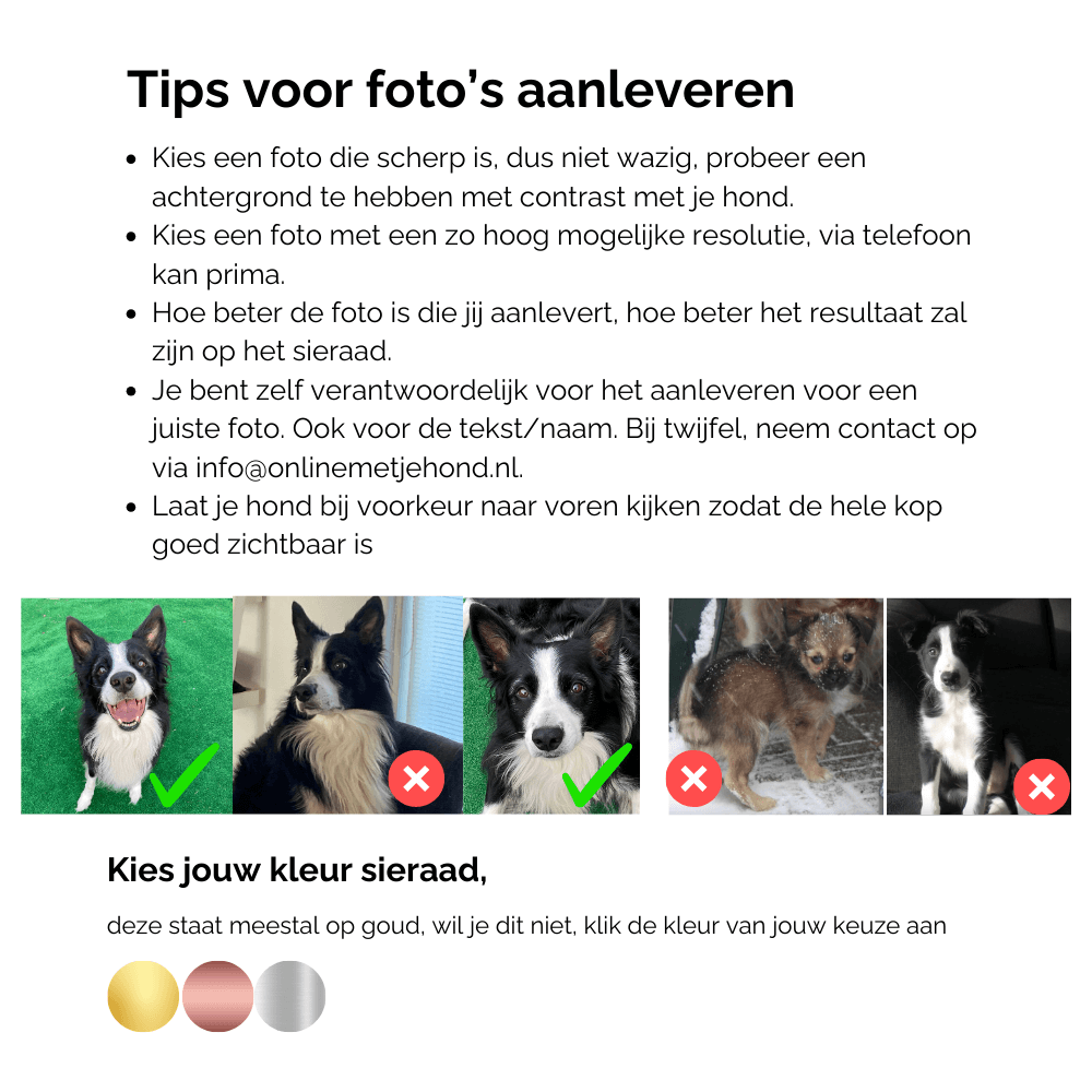 Ketting hond met foto van hond en naam gegraveerd (vanaf € 33,95)
