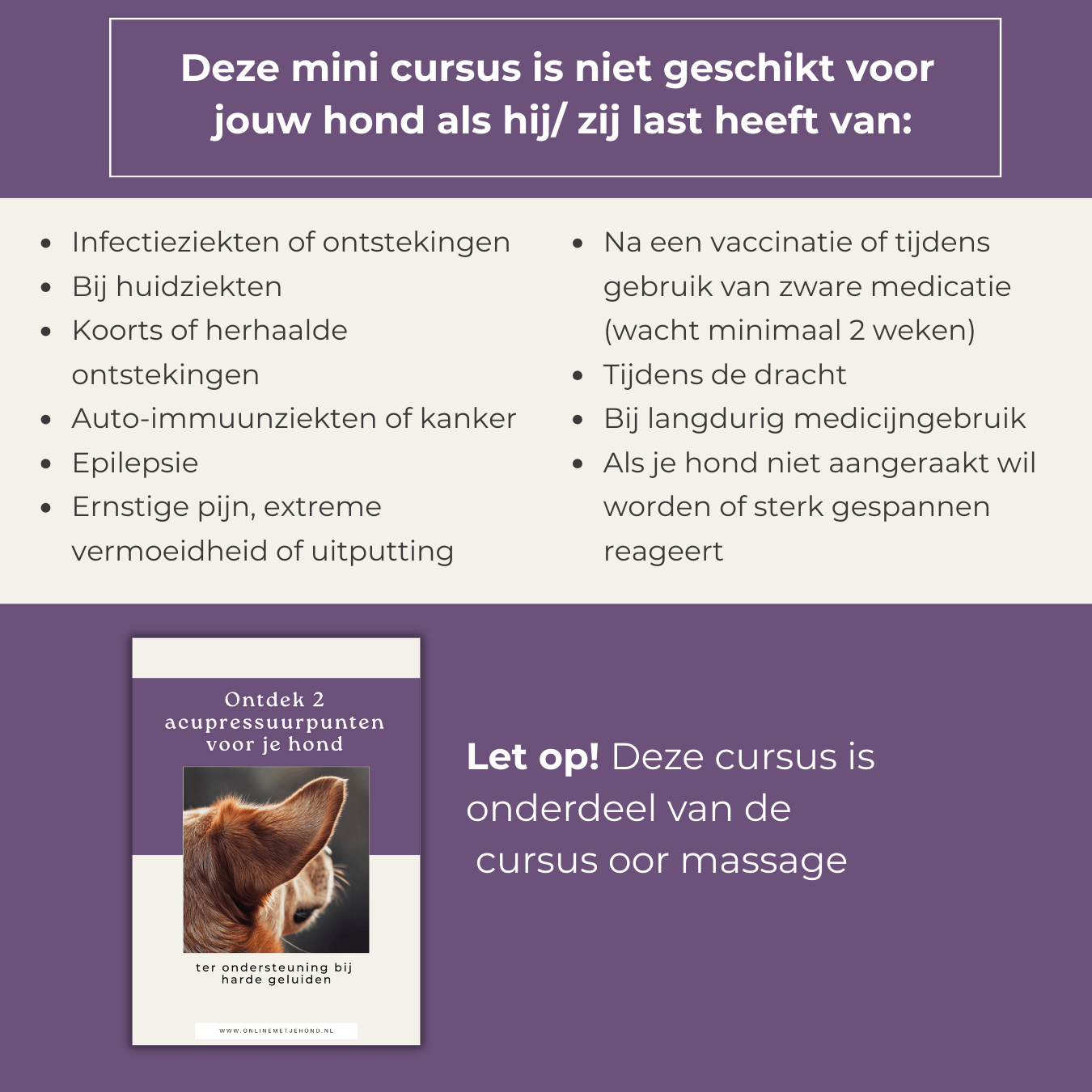 E-book 2 acupressuurpunten voor je hond - ter ondersteuning bij harde geluiden