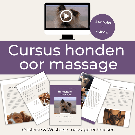 Cursus honden oor massage - ontspanning via de oren