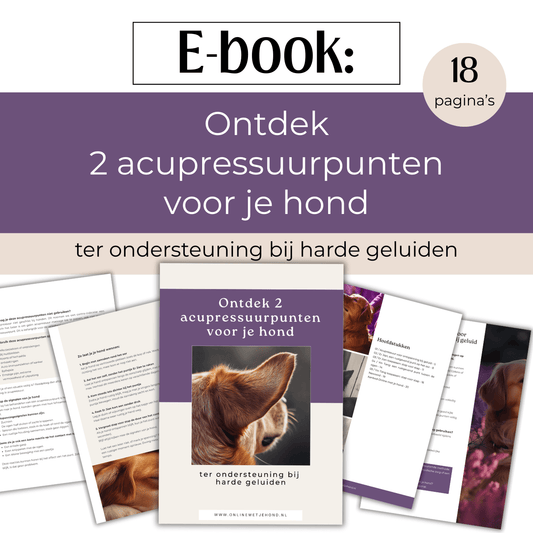 E-book 2 acupressuurpunten voor je hond - ter ondersteuning bij harde geluiden