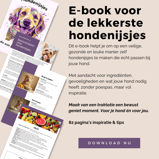 Zelf een hondenijsje maken met  eenvoudig recepten en tips voor honden