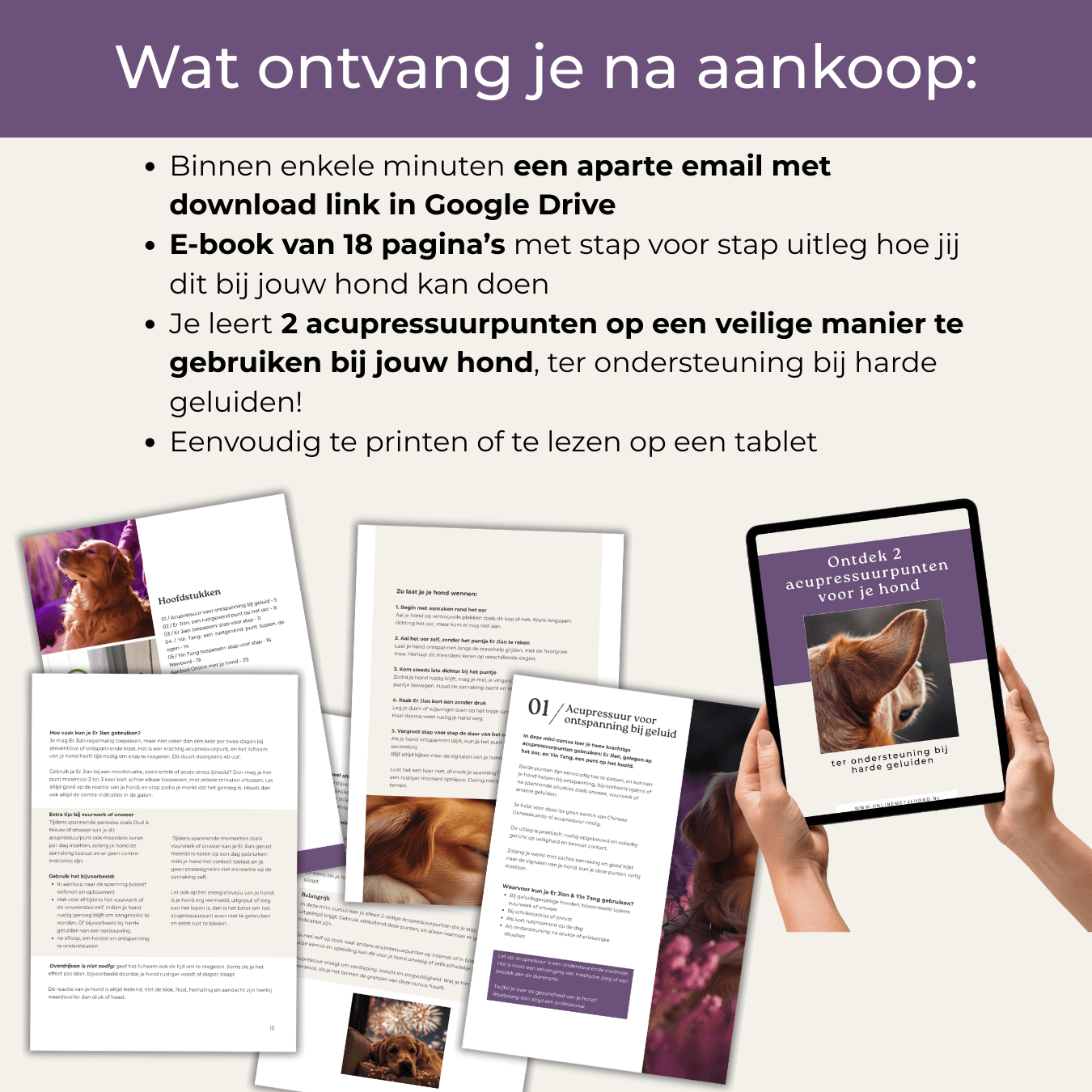 E-book 2 acupressuurpunten voor je hond - ter ondersteuning bij harde geluiden