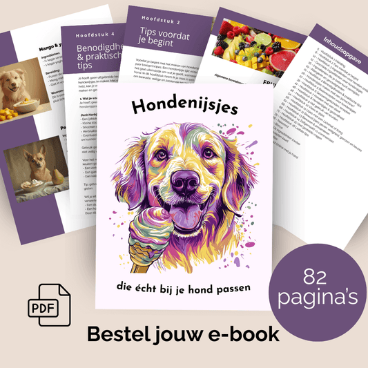 Ebook over hondenijsjes maken met tips en recepten