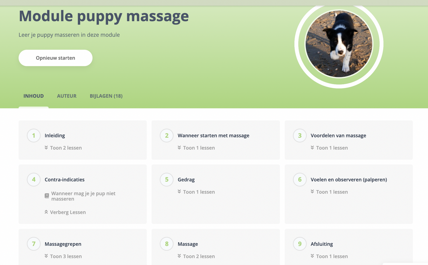 Cursus Puppy massage met hondenmassage: van pup tot volwassen hond