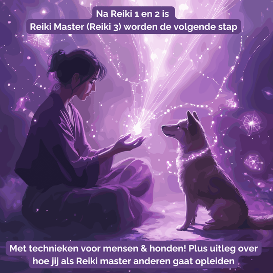 Reiki Master cursus