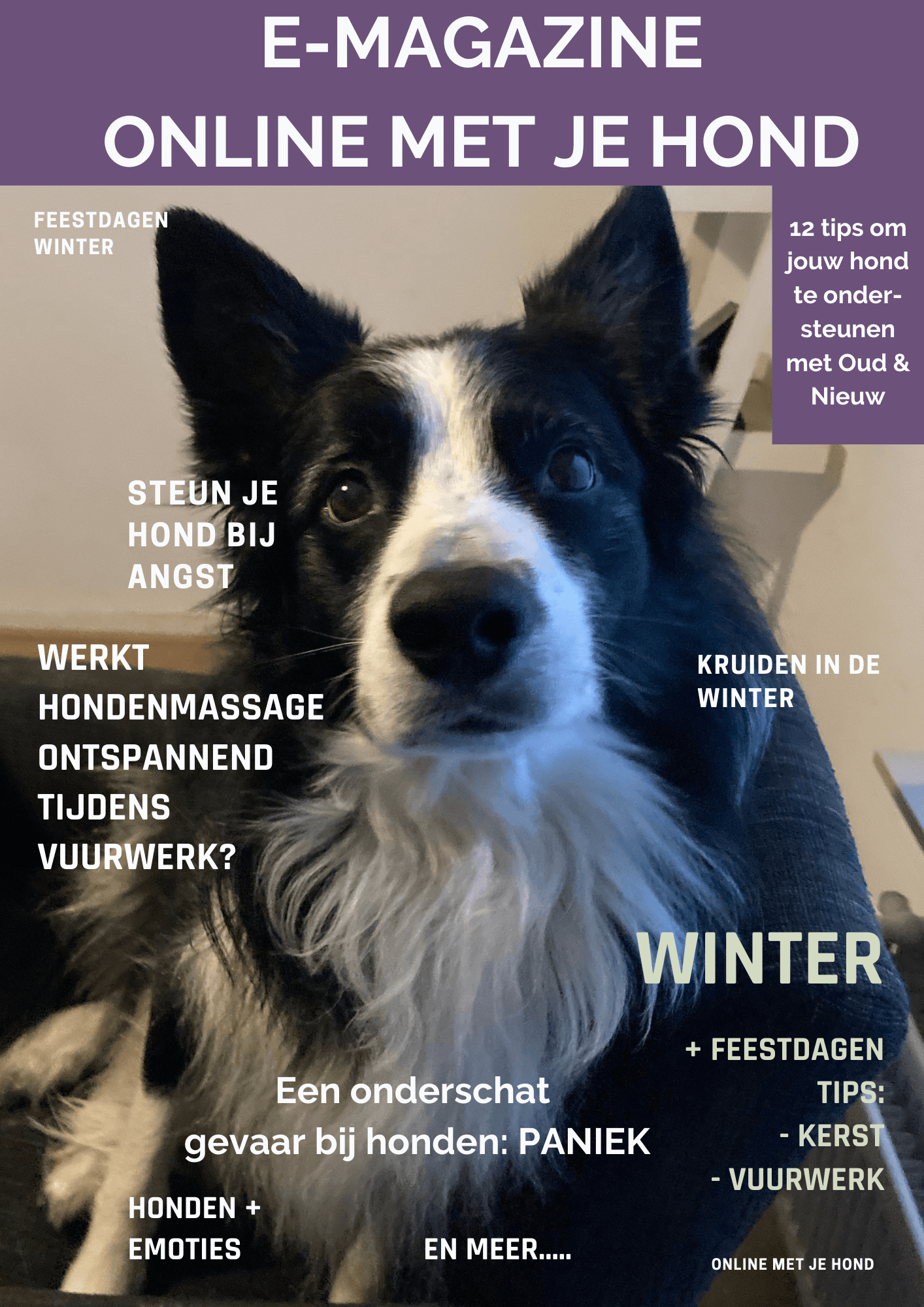 Gratis tijdschrift met tips voor honden
